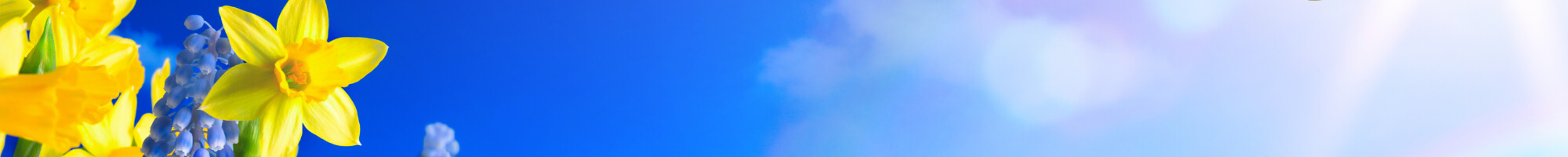 2021 CEO Spring greeting